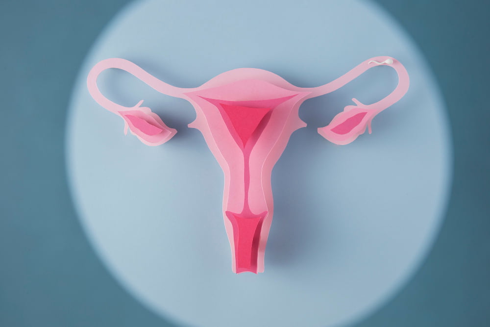 Labioplasti Revizyon Cerrahisi